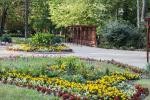 Újra Siófok képviselheti Magyarországot az Entente Floral Europe versenyén